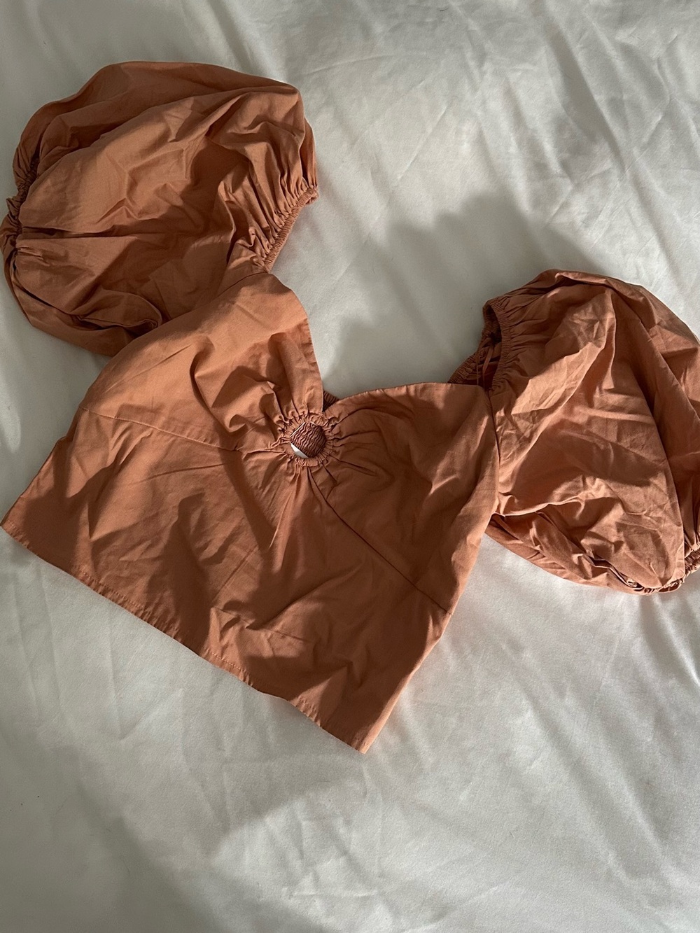Abercrombie & Fitch Rust Cropped Puff-Sleeve Top